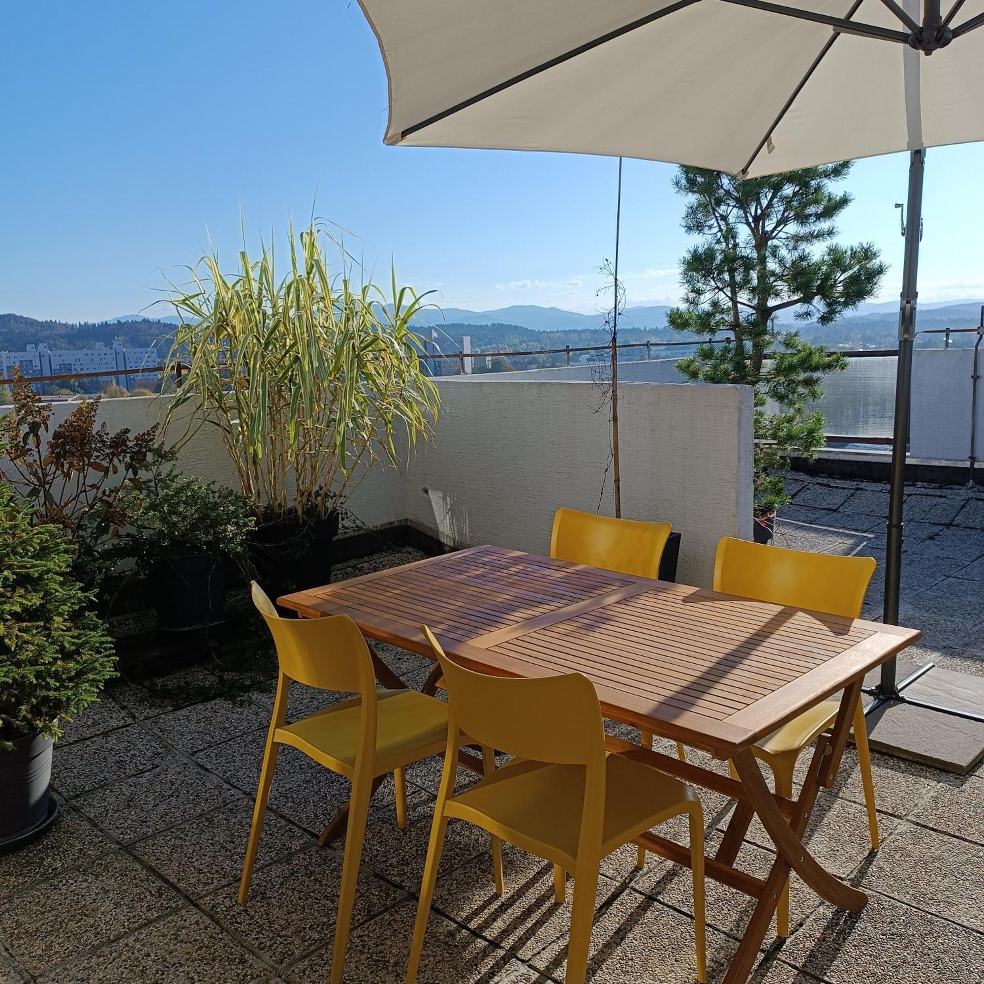 Bright Penthaus Apartement, With A Wonderful View リュブリャナ エクステリア 写真